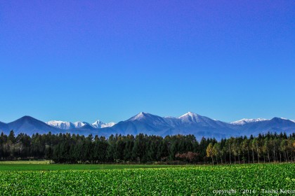 日高山脈（広野）