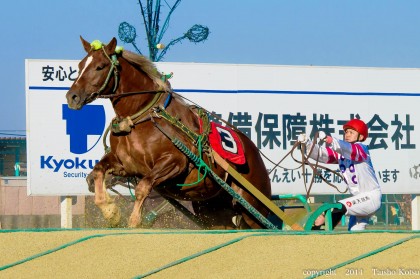 ばんえい十勝