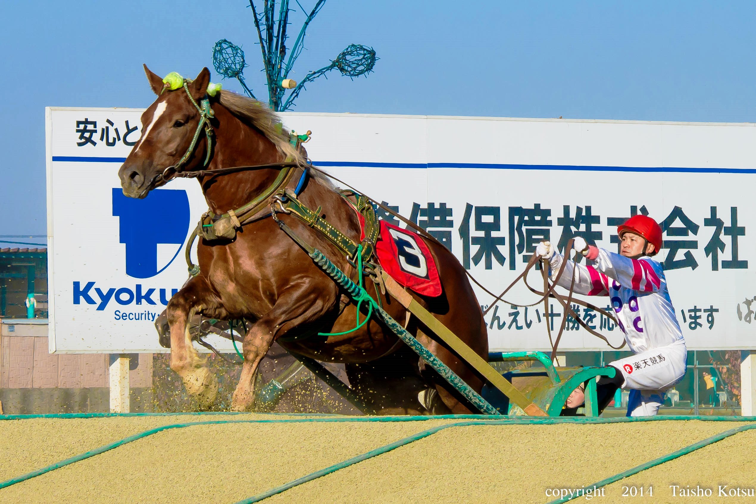 世界で唯一帯広競馬場で開催されている「ばんえい競馬」を体感してください！（トピックス）｜帯広のタクシー会社「大正交通」