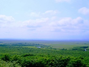 釧路市