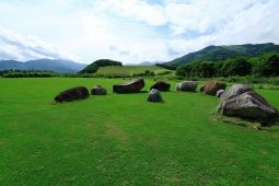 十勝千年の森と紫竹ガーデン巡りプラン【オススメ時期：5月〜10月】