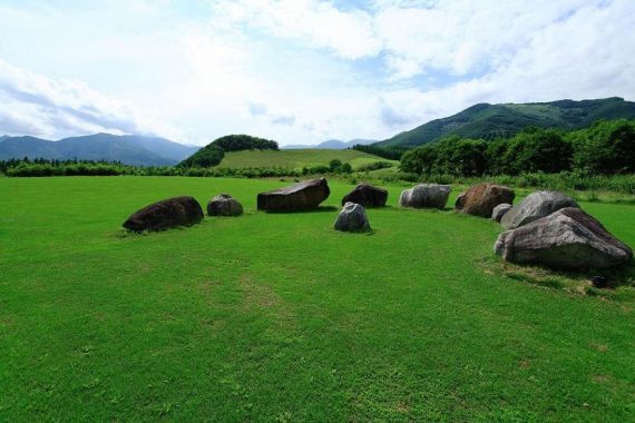 十勝千年の森と紫竹ガーデン巡りプラン【オススメ時期：5月〜10月】